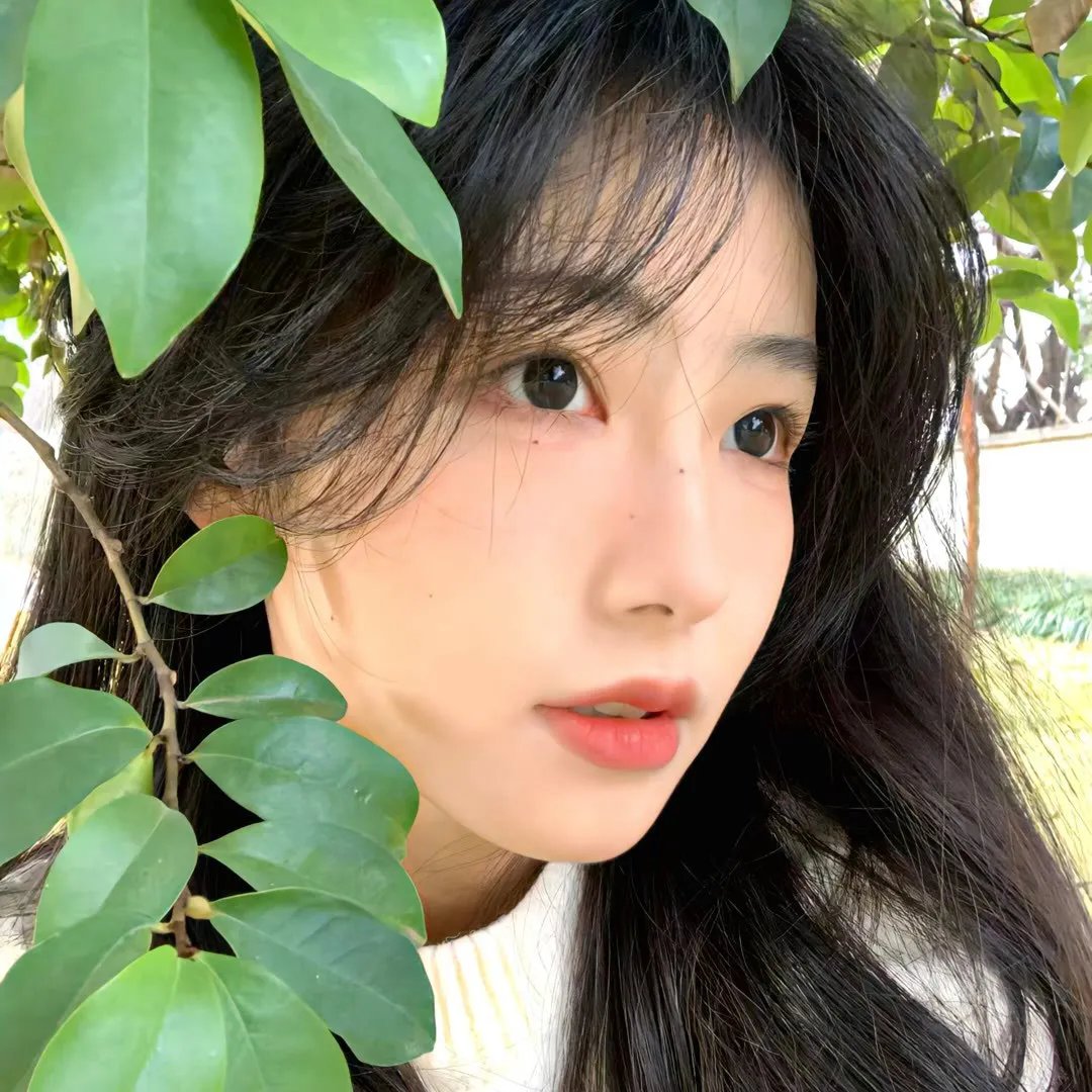 九辫妖狐